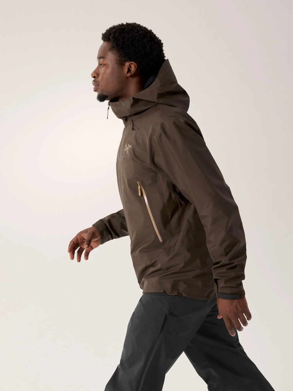 Carob / Canvas