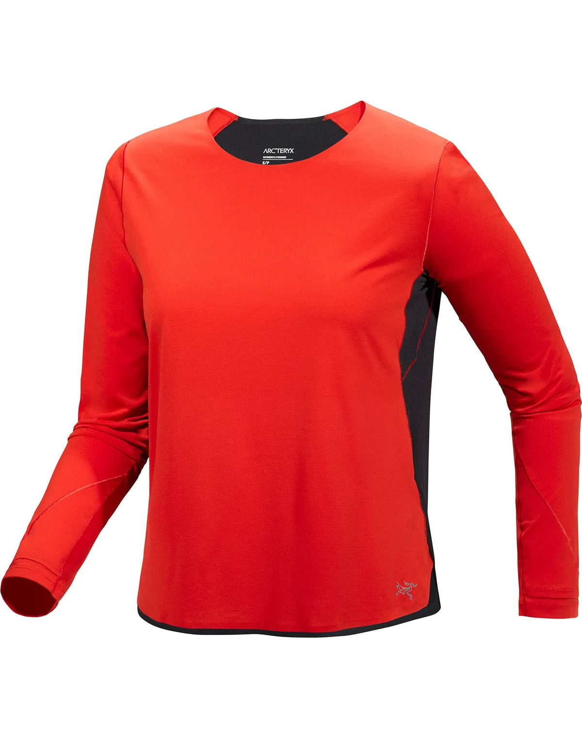 Dynasty